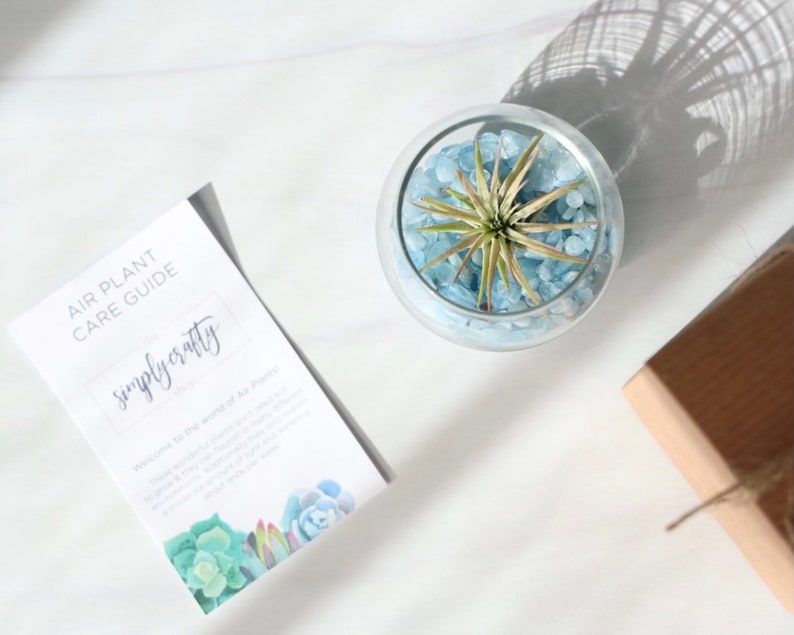 Może przedstawiać: Szklany terrarium w kształcie kuli z małą rośliną powietrzną i niebieskimi szklanymi kamieniami. Terrarium stoi na białej powierzchni. Karta z tekstem "Air Plant Care Guide" i "simply crafty" znajduje się w lewym dolnym rogu obrazu.