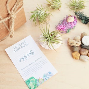 Tarjeta de cuidado de plantas de aire- Descarga digital