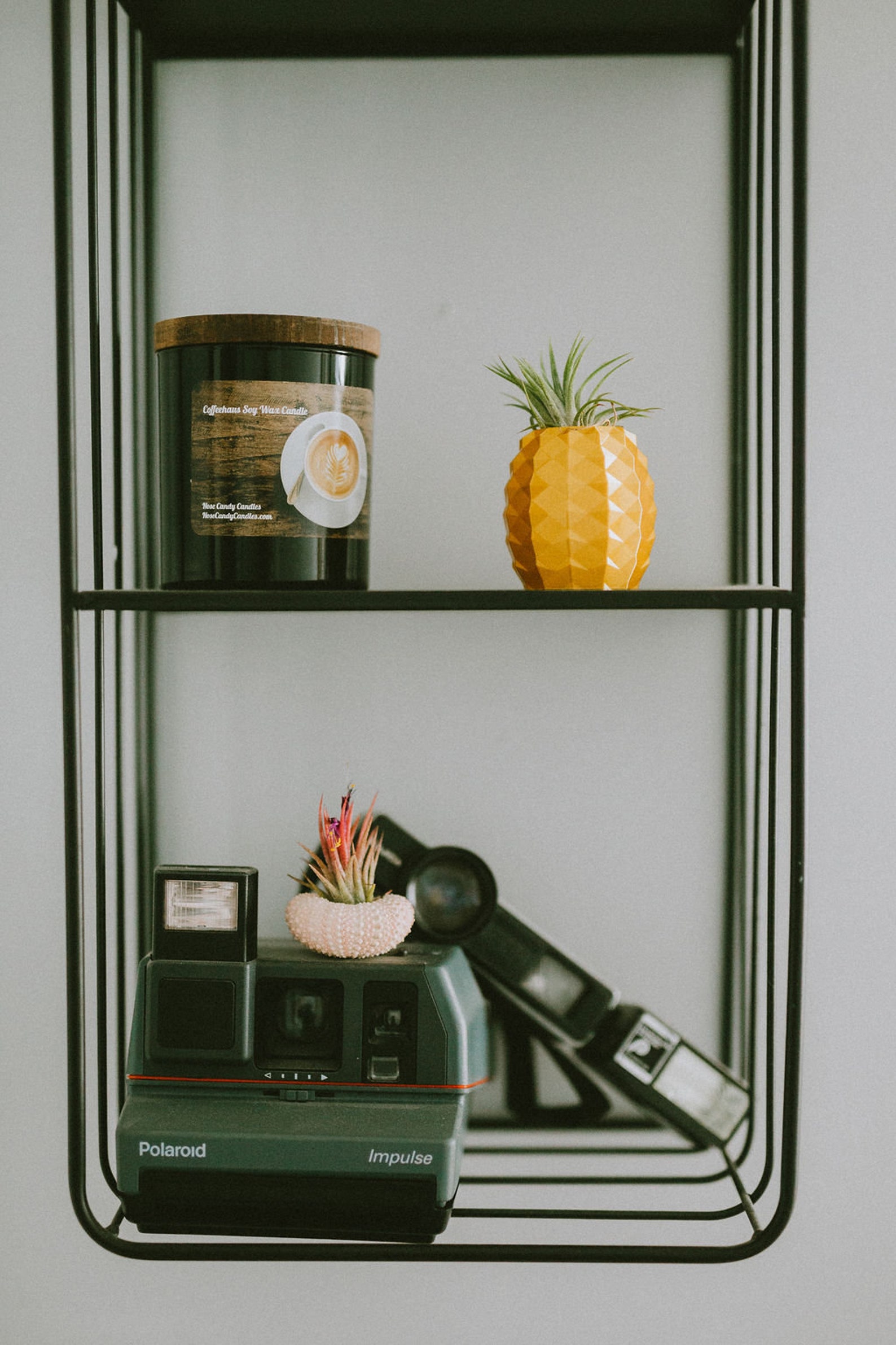 Gold Pineapple Air Plant Holder Etsy