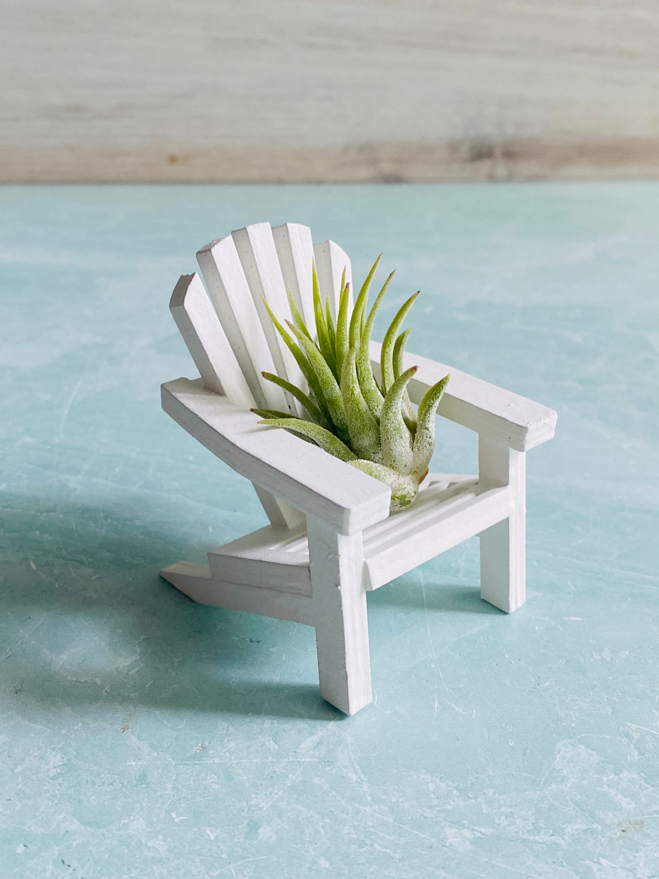 Mini White Adirondack Chair Air Plant Holder Air Plant Holder  Tillandsia Air Plant Decor Beach House Decor Lake House Decor| Coastal
