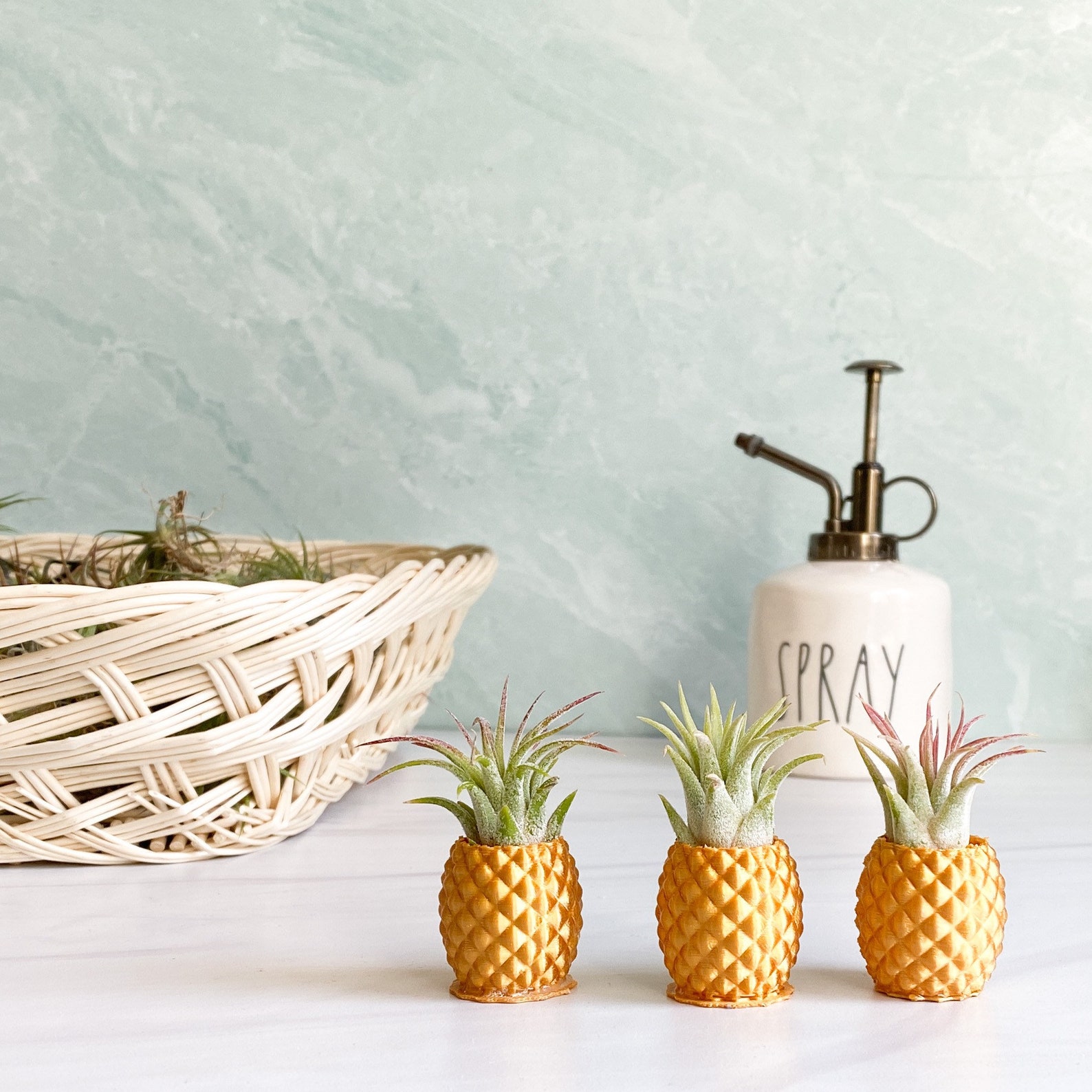 Gold Pineapple Air Plant Holder Etsy