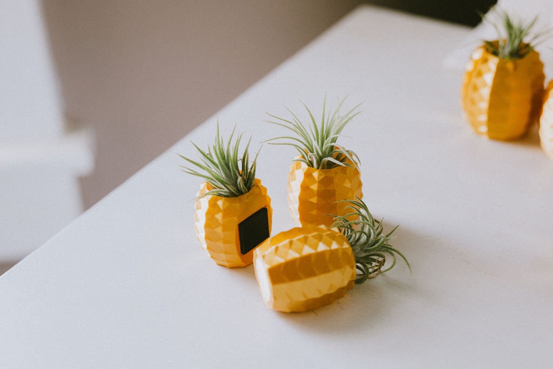 Gold Pineapple Air Plant Holder Etsy