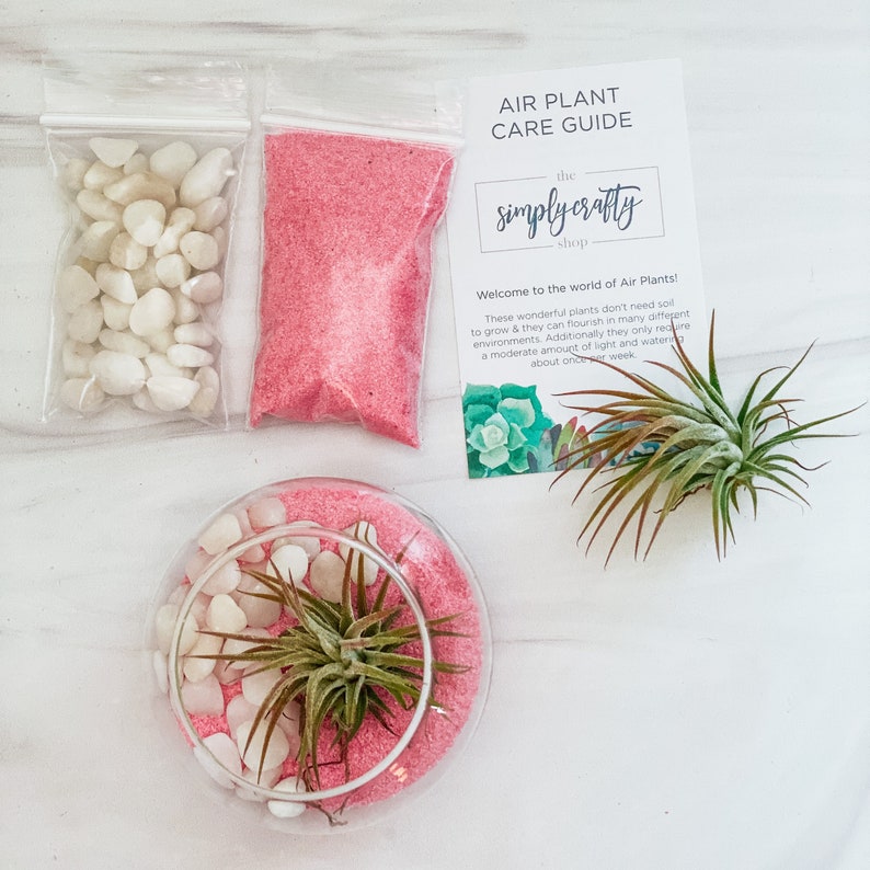 Pink Air Plant Terrarium Kit Air Plant Gift Set Pink Sand Air Plant Kit Glass Orb Terrarium Air Plant Holder Tillandsia Air Plant image 2