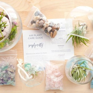Mini Orb Terrarium Kit | DIY Air Plant Kit | Crystal Air Plant Holder | Air Plant Gift | Hanging Air Plant | Stocking Stuffer | Desk Decor