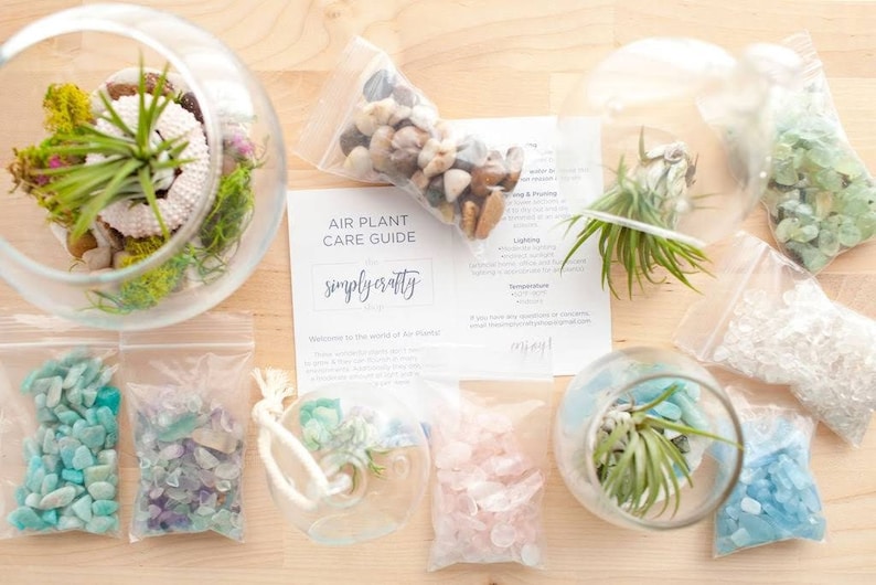 Mini Orb Terrarium Kit DIY Air Plant Kit Crystal Air Plant Etsy
