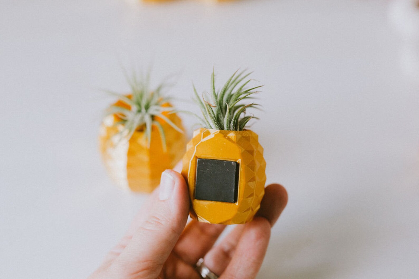 Gold Pineapple Air Plant Holder Etsy