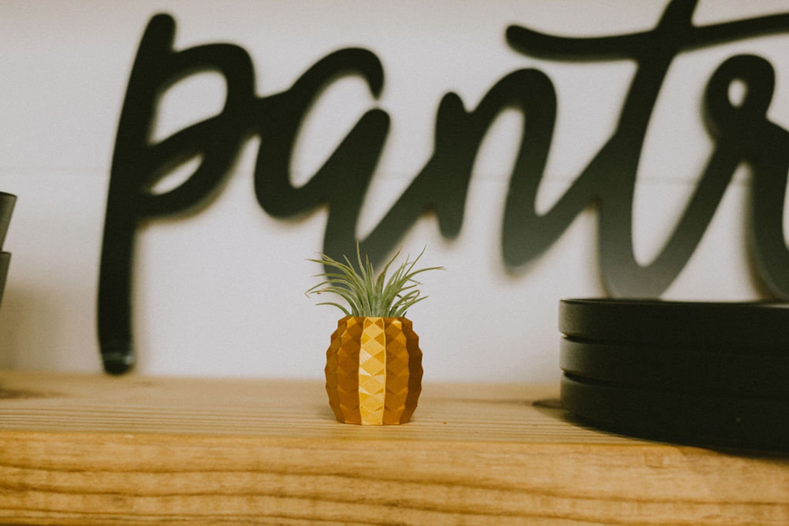 Gold Pineapple Air Plant Holder Etsy