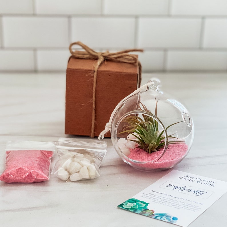 Pink Air Plant Terrarium Kit Air Plant Gift Set Pink Sand Air Plant Kit Glass Orb Terrarium Air Plant Holder Tillandsia Air Plant Orb Terrarium