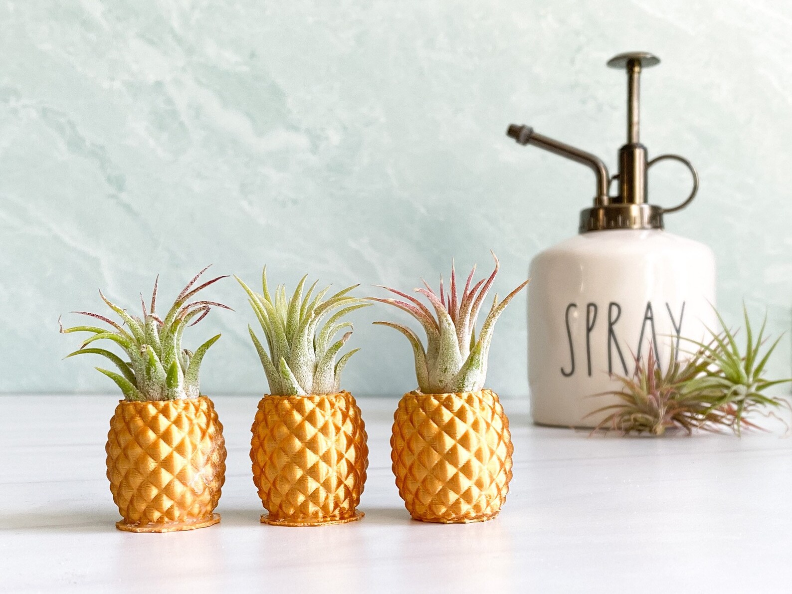 Gold Pineapple Air Plant Holder Etsy