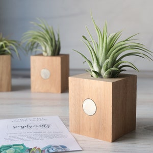 Magnetic Wood Block Air Plant Holder | Air Plant Display | Reclaimed Wood Block | Air Plant Gift Set | Christmas Gift | Stocking Stuffer