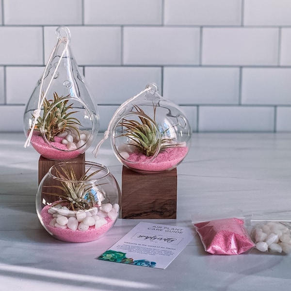 Pink Air Plant Terrarium Kit | Air Plant Gift Set | Pink Sand Air Plant Kit | Glass Orb Terrarium | Air Plant Holder | Tillandsia Air Plant