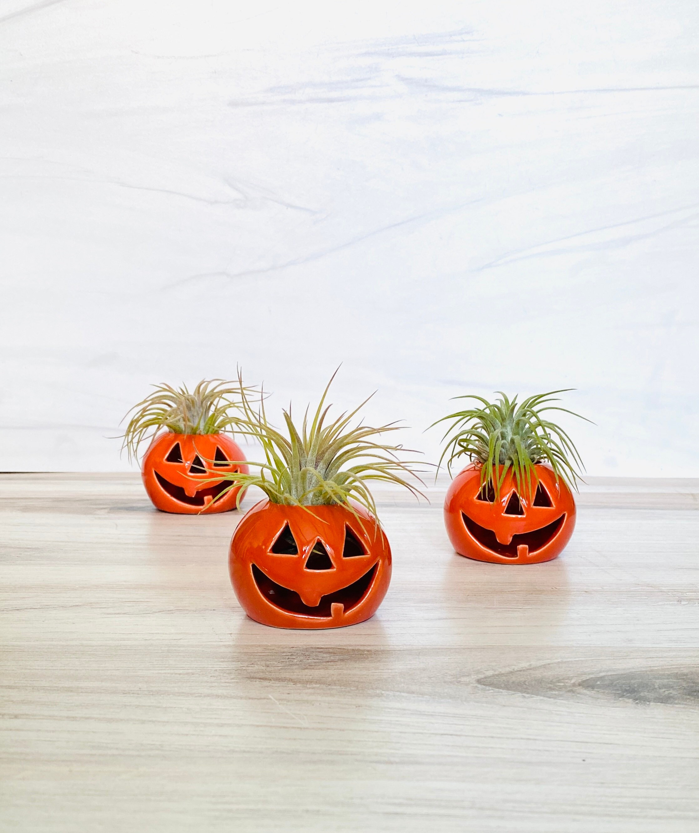 ひょうたんオブジェ il_fullxfull.3430638541_5gzv.jpg