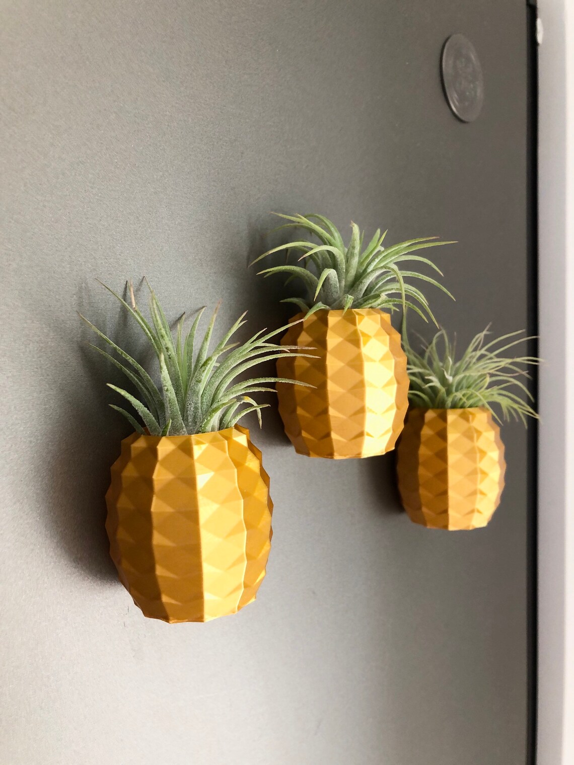 Gold Pineapple Air Plant Holder Etsy