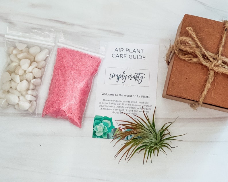 Pink Air Plant Terrarium Kit Air Plant Gift Set Pink Sand Air Plant Kit Glass Orb Terrarium Air Plant Holder Tillandsia Air Plant image 4