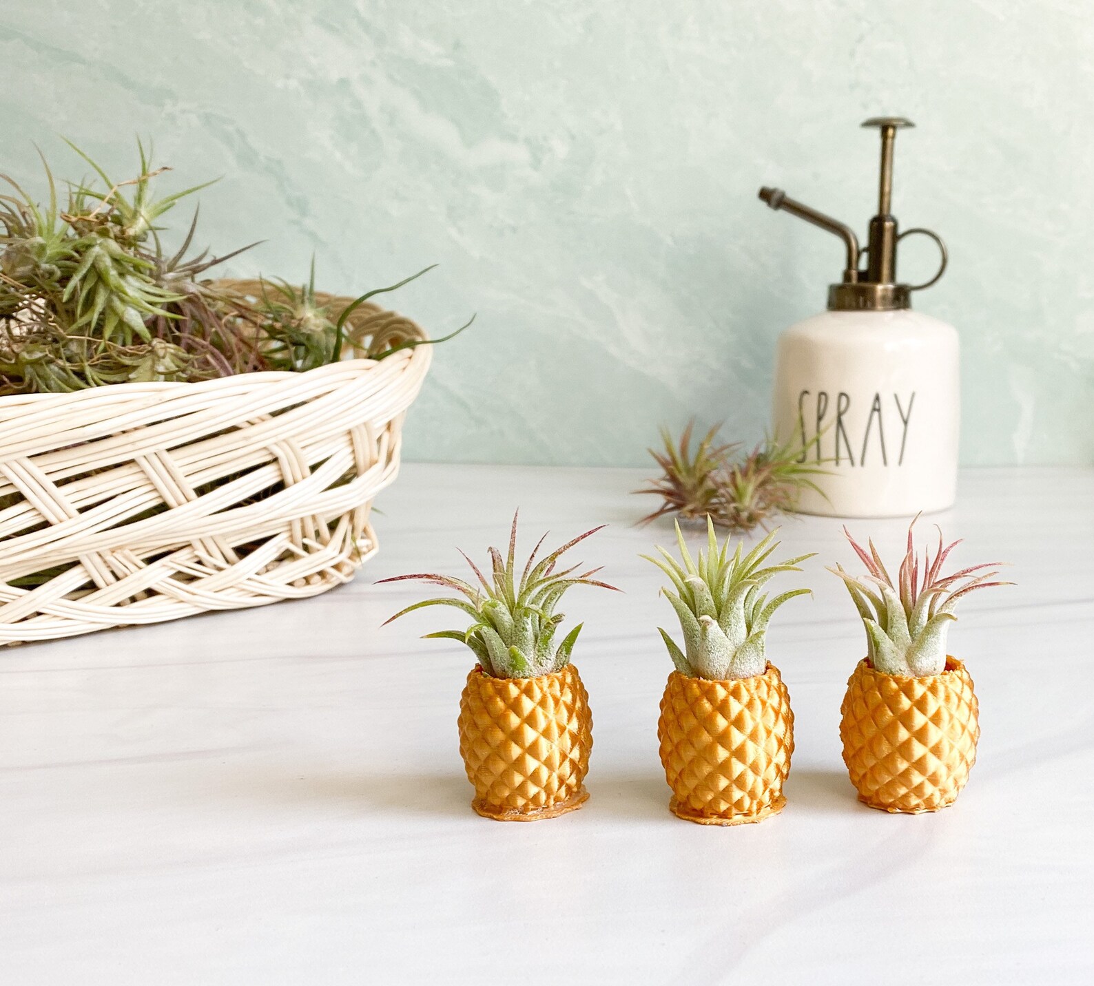 Gold Pineapple Air Plant Holder Etsy