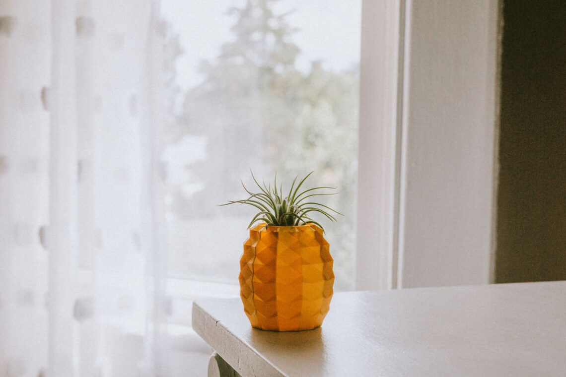 Gold Pineapple Air Plant Holder Etsy