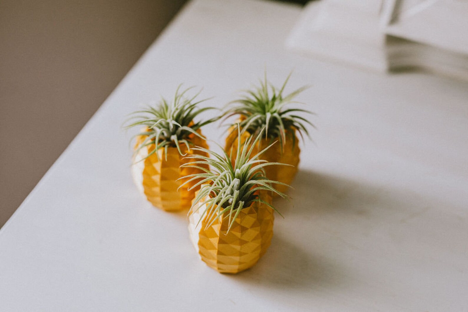 Gold Pineapple Air Plant Holder Etsy