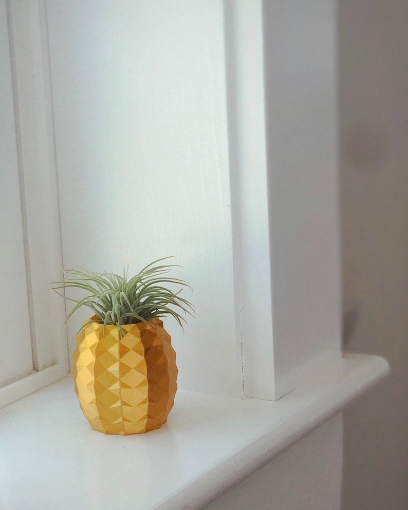 Gold Pineapple Air Plant Holder Etsy
