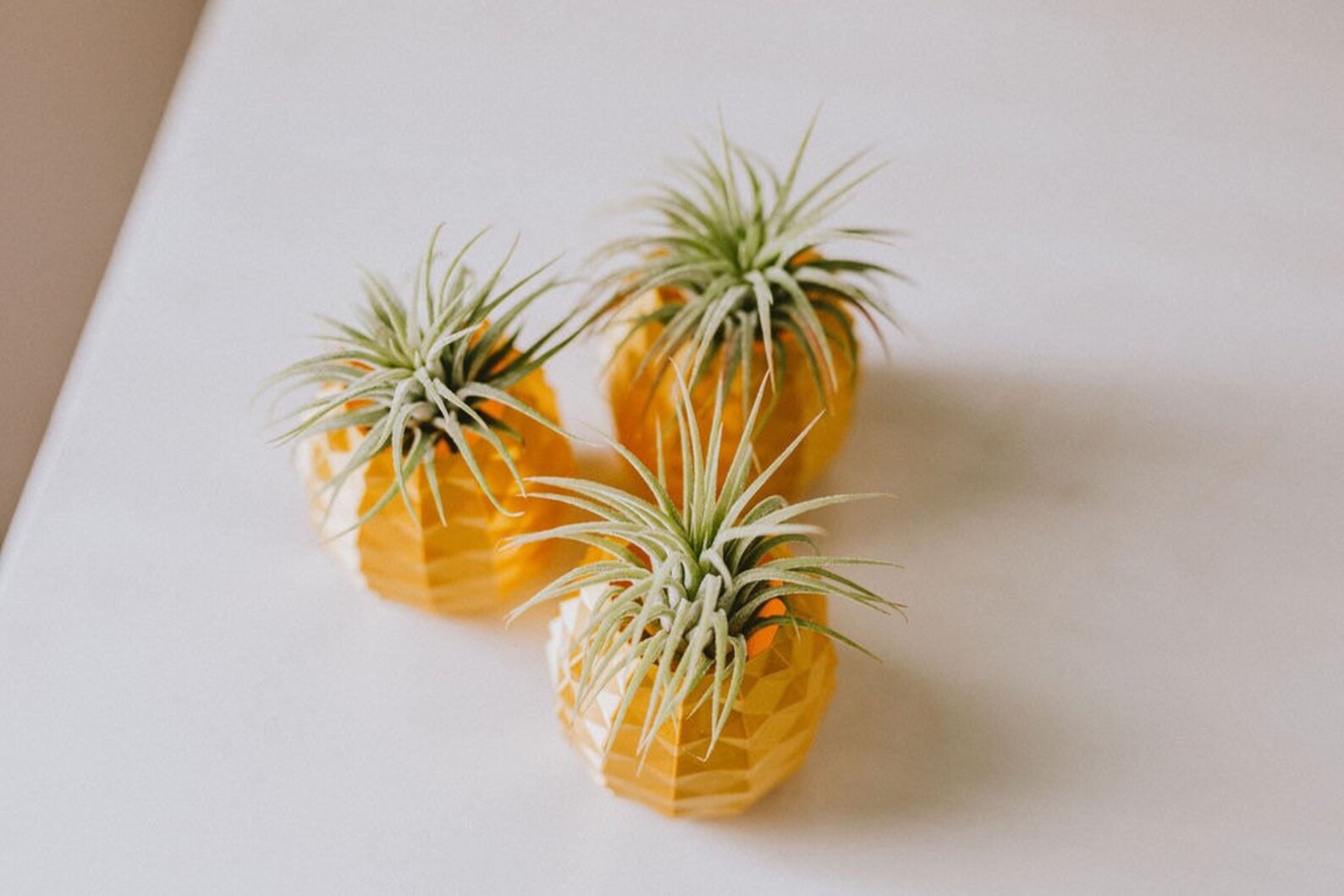 Gold Pineapple Air Plant Holder Etsy