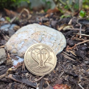Puede incluir: Una moneda redonda de metal dorado con un diseño en relieve de dos árboles que forman un corazón. El árbol izquierdo incorpora la estatua del Cristo Redentor y el derecho una cruz celta. El texto dice TWO HOMES - ONE HEART BRAZIL - IRELAND.