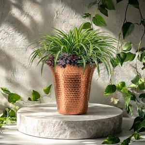May include: A copper-colored metal planter with a hammered texture containing a cluster of green spider plants and dark purple succulents. The planter sits on a circular stone base, surrounded by trailing green vines with heart-shaped leaves.