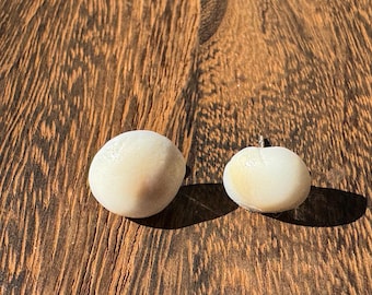 Hawaiian Shiva Cat Eye Shell Stud Earrings