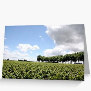 Bordeaux Vineyards Notecard