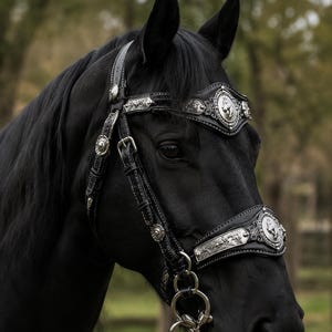 May include: A black horse wearing a black leather bridle with intricate silver-toned metal hardware. The bridle features decorative silver plates on the browband and noseband, each embossed with a horse head motif and floral scrollwork details.