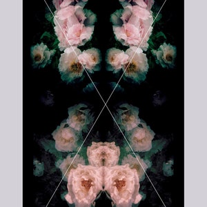Peonies at Night 17x22 inches fine art print