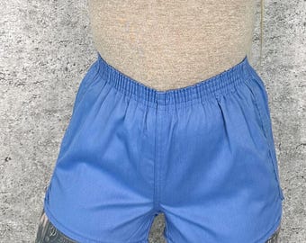 70's Vintage Retro Periwinkle Running Jogger Shorts