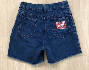 Chic Vintage Denim Cut Off Jean Shorts / Size 24 XS