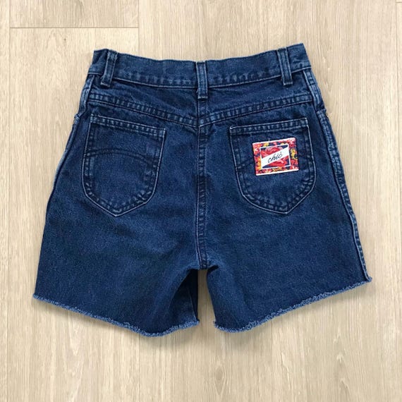 Chic Vintage Denim Cut Off Jean Shorts / Size 24 XS