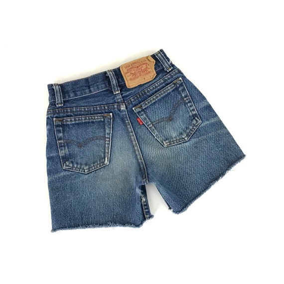 XXS 70's Levi's Cut Off Shorts / Size 21