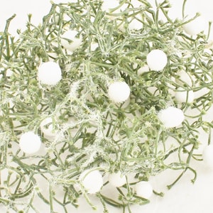 Fake White Mistletoe Sprigs | Artificial Mistletoe DIY Christmas Decor | Mistletoe Wreath Filler for Crafts Millinery Hats Blue Hutch BE2031