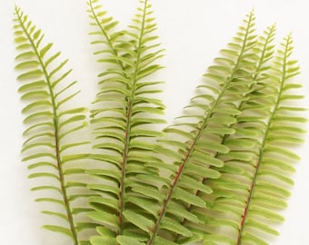 9" Fake Fern Sprays | Artificial Fern Frond | Wedding Greenery | Leaves for Hats | Fern Wreath Filler | Artificial Greenery  Blue Hutch FE56