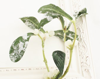7" Frosted Mistletoe Spray | Kissing Plant | DIY Christmas Spray | Artificial Mistletoe | Millinery | Wreath Filler | The Blue Hutch MT105