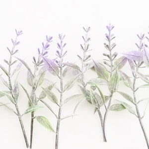 K&ouml;nnte beinhalten: Eine Reihe von Lavendelzweigen mit violetten Bl&uuml;ten und gr&uuml;nen Bl&auml;ttern vor wei&szlig;em Hintergrund.