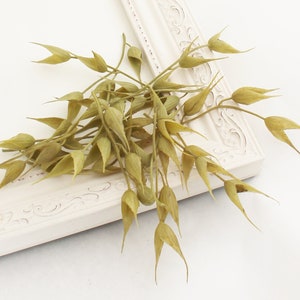 May include: A bunch of dried, light green oat grass stems with long, pointed leaves. The stems are arranged in a loose cluster and are lying on a white surface with a decorative frame.