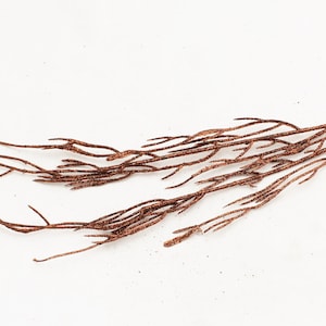 12&quot; Glitter Brown Branches | Artificial Branches | Fall Greenery | Millinery | Leaf Filler | Artificial Greenery | The Blue Hutch GL3016