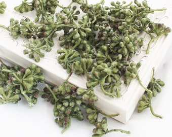 Small Green Berries | Fake Eucalyptus Berries | Tiny Berries for Crafts | Berries for Crown | Fake Berry Picks | Berry Floral Picks | BE195