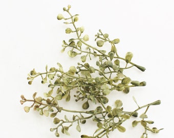 5 Baby&#39;s Tears Sprigs | Faux Pilea Depressa | Artificial Greenery | Leaf Filler | Millinery | Faux Greenery | Fake Baby Tears |  Blue Hutch