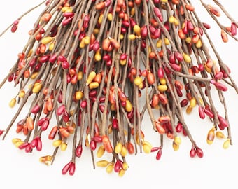 May include: A bunch of brown twigs with red and yellow berries. The twigs are bundled together and the berries are clustered along the twigs.