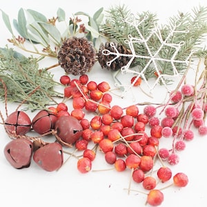May include: Assortment of red berries, pine sprigs, a white wire snowflake, a brown pine cone, and rusty bells. These items are perfect for crafting a winter wreath or holiday decor.