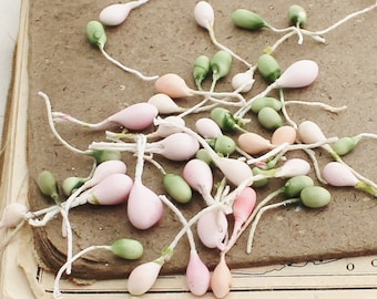 50 Pale Pink Green Pip Berries | Floral Berry Filler | DIY Flower Stamen | Flowers for Hats | Artificial Berries Fake | Blue Hutch PB199