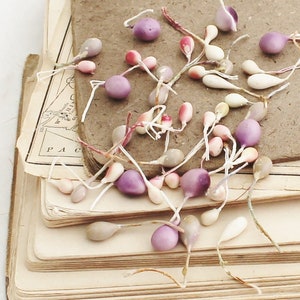 May include: A stack of old books with a scattering of small, delicate, purple and white teardrop-shaped ornaments on top.