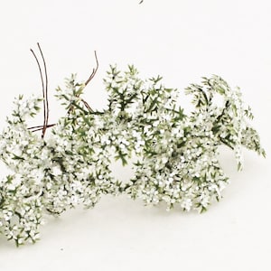 May include: A bunch of white artificial flowers with green stems. The flowers are clustered together and have a delicate, feathery appearance.