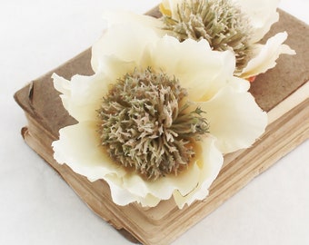 ONE Cream Peony | Silk Peony | Wedding | Millinery Flowers | DIY Bouquet Filler | Hair Clip Flower | Artificial Peony | The Blue Hutch PY53