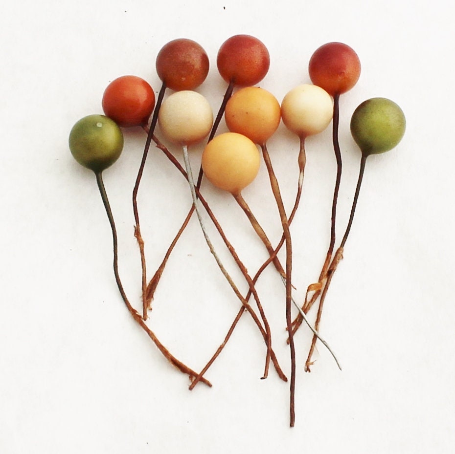 Fall Berry Pick – Smallwoods