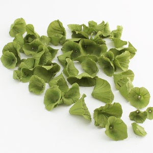 May include: A collection of green paper flower petals, scattered on a white background. The petals are delicate and have a slightly crinkled texture.