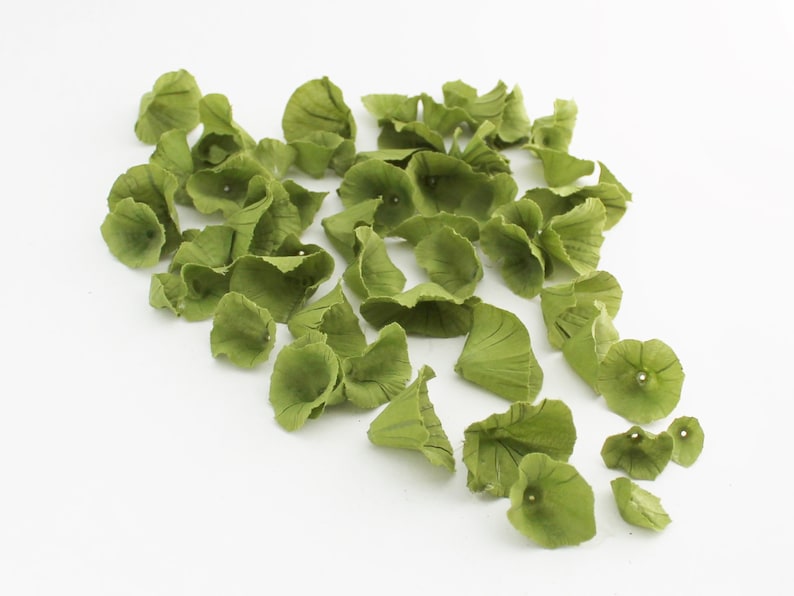 May include: A collection of green paper flower petals, scattered on a white background. The petals are delicate and have a slightly crinkled texture.